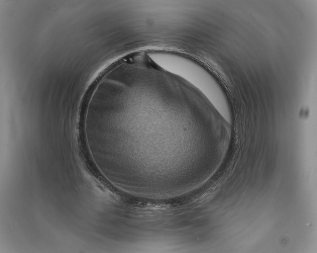 X0000090870484200708171628