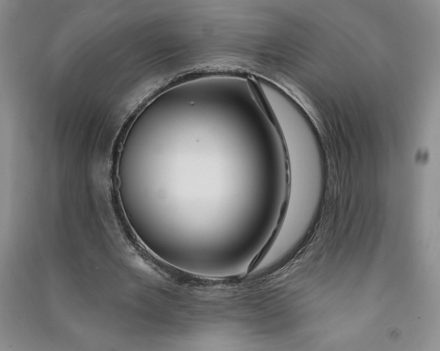 X0000090870485200708171628