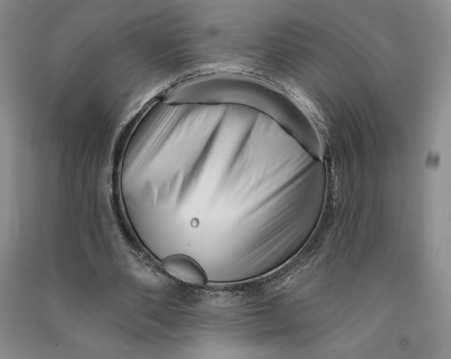 X0000090870486200708171628