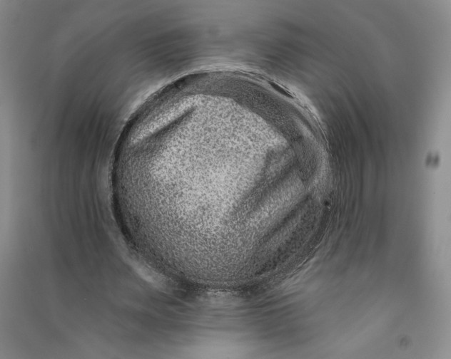 X0000090870487200708171628