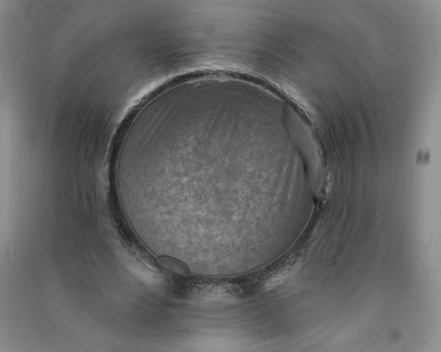 X0000090870488200708171628