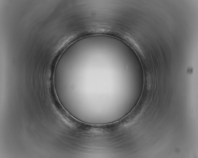 X0000090870490200708171628