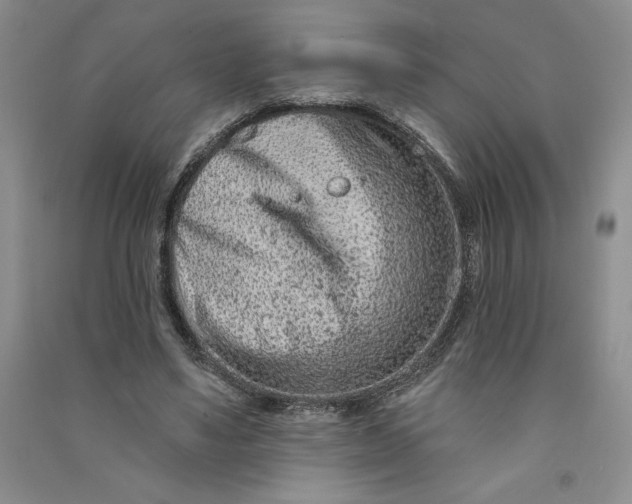 X0000090870491200708171628