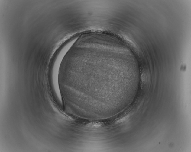 X0000090870492200708171628