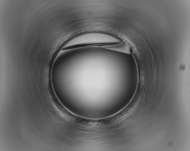 X0000090870493200708171628