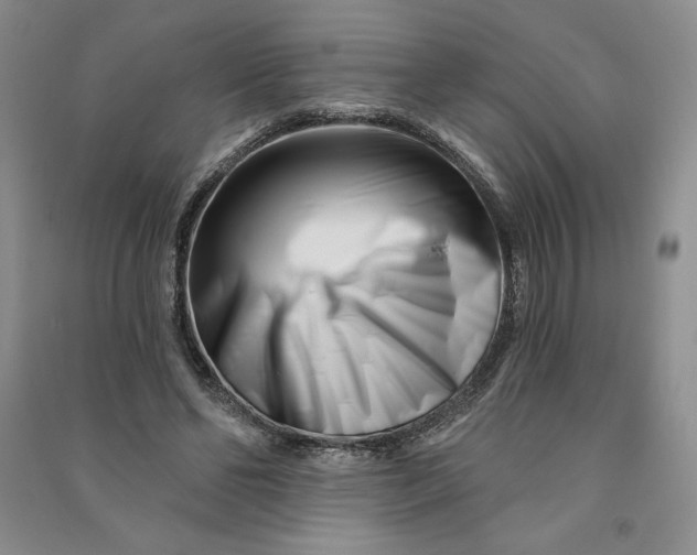 X0000090870494200708171628