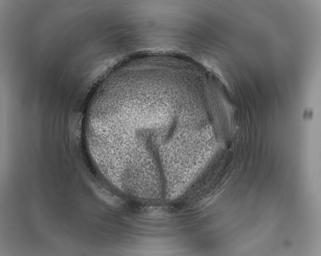 X0000090870495200708171628