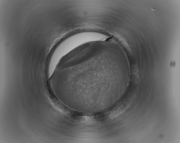 X0000090870496200708171628