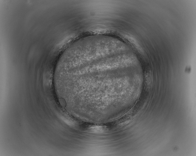 X0000090870499200708171628