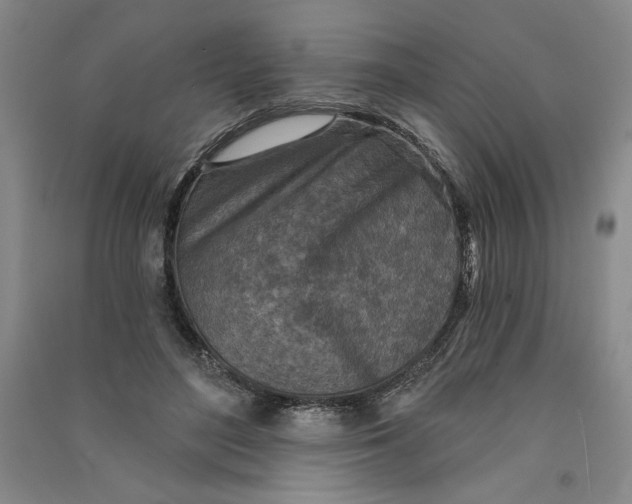 X0000090870500200708171628