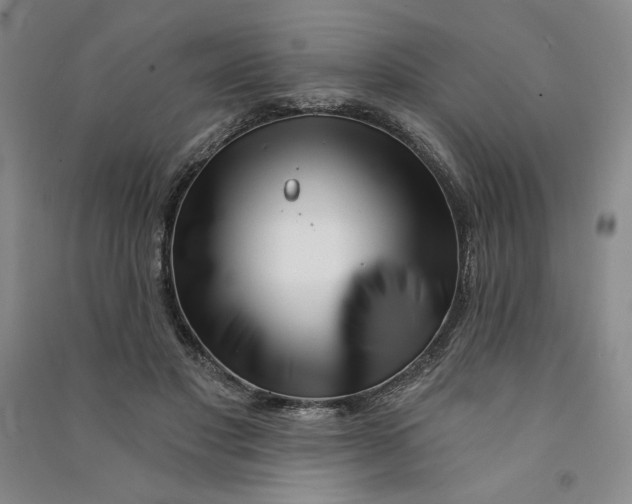 X0000090870501200708171628