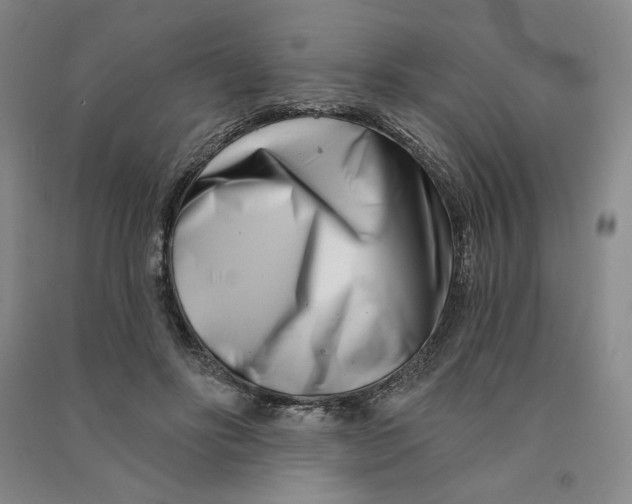 X0000090870502200708171628