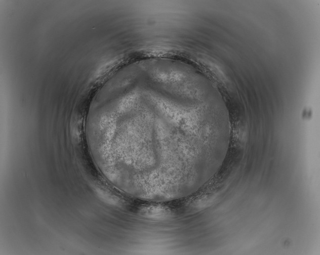 X0000090870503200708171628