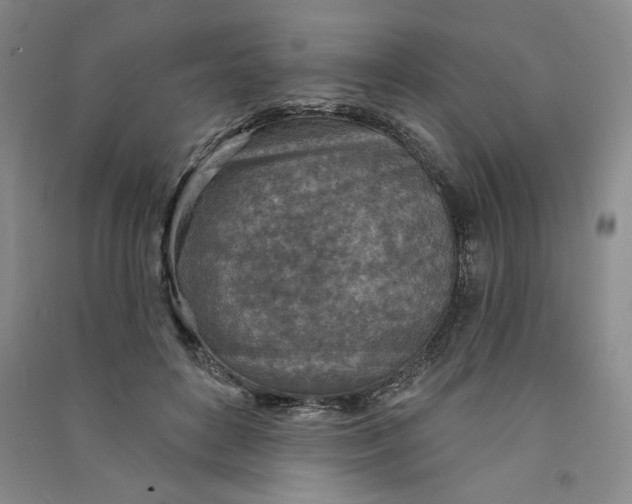 X0000090870504200708171628