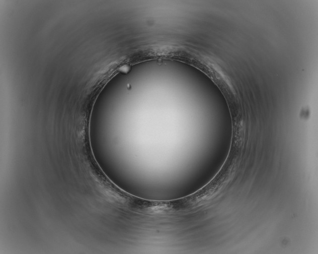 X0000090870505200708171628