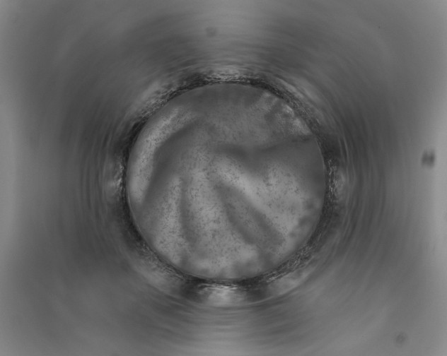 X0000090870507200708171628