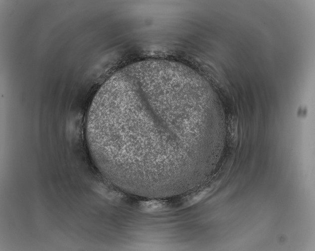 X0000090870511200708171628