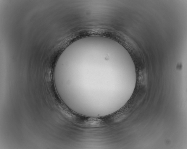 X0000090870514200708171628