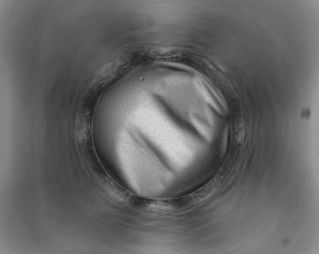 X0000090870515200708171628