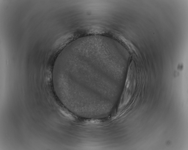 X0000090870517200708171628