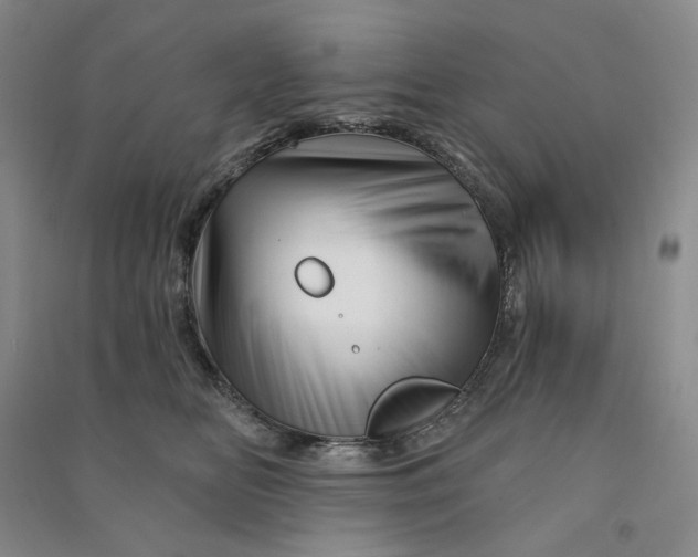 X0000090870518200708171628