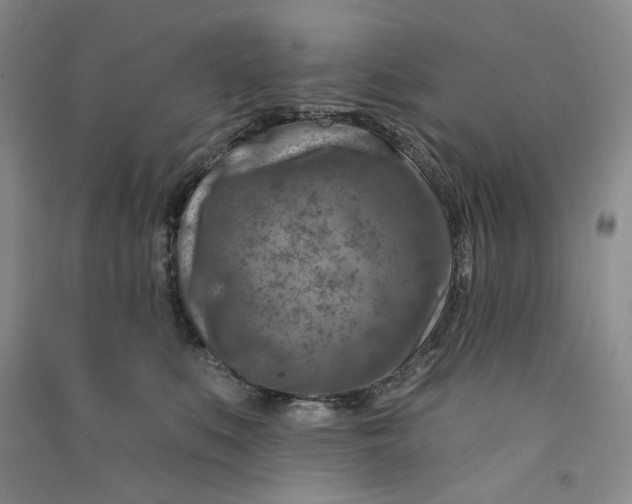 X0000090870519200708171627