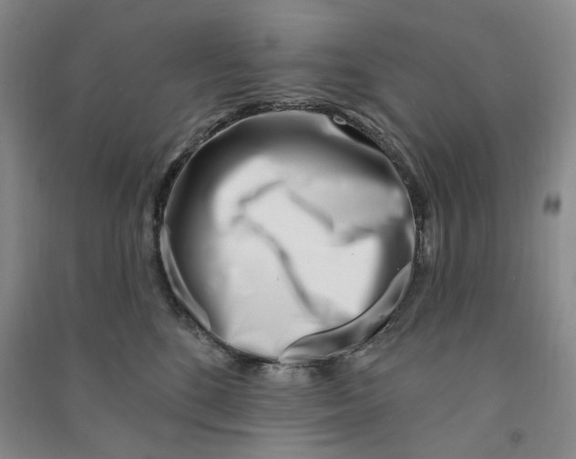 X0000090870520200708171627