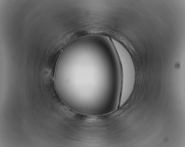 X0000090870521200708171627