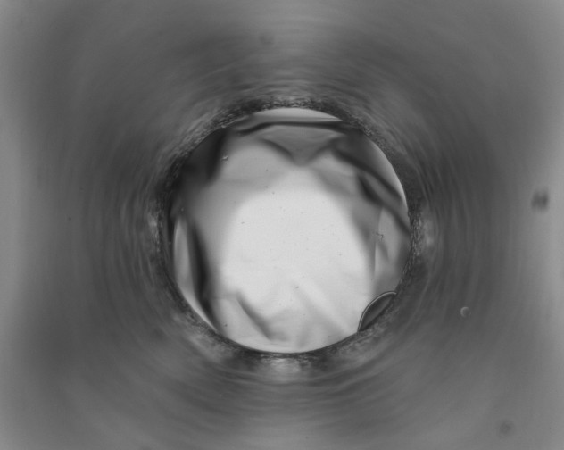 X0000090870522200708171627