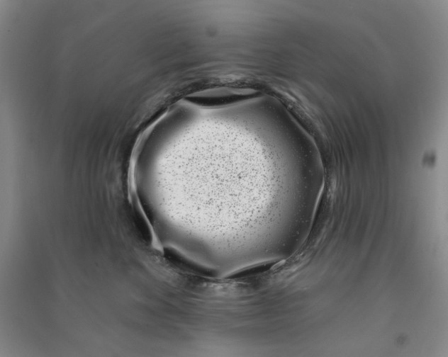 X0000090870524200708171627