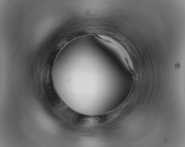 X0000090870525200708171627