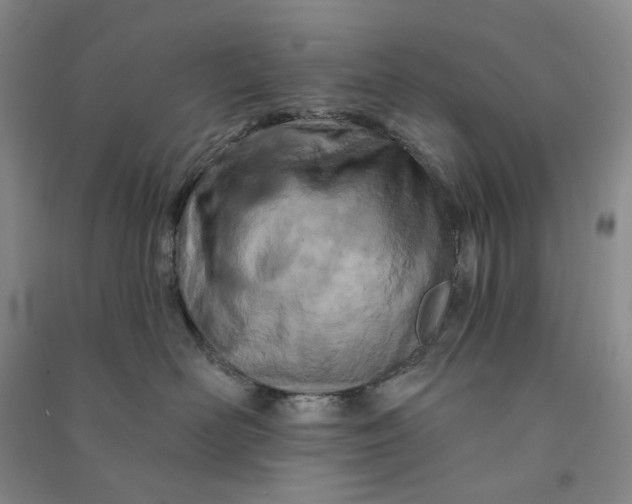 X0000090870526200708171627