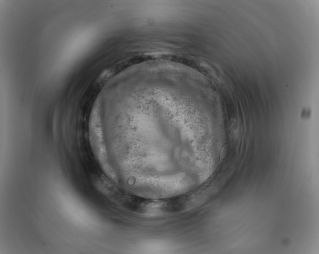 X0000090870527200708171627