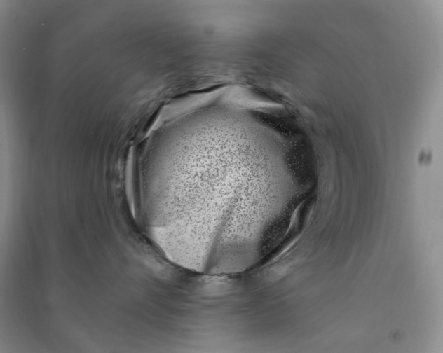 X0000090870528200708171627