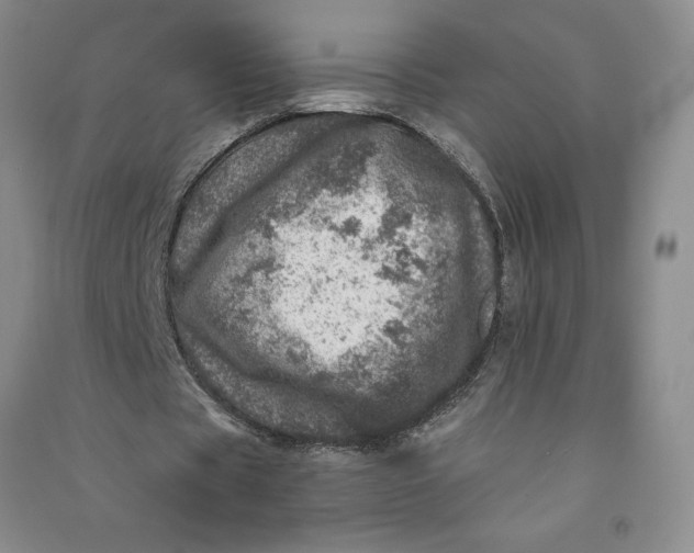 X0000090870529200708171627