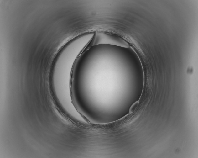 X0000090870530200708171627