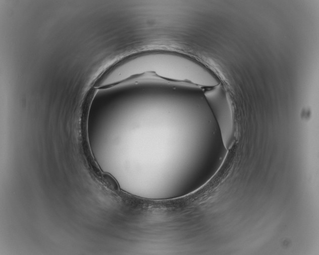 X0000090870531200708171627