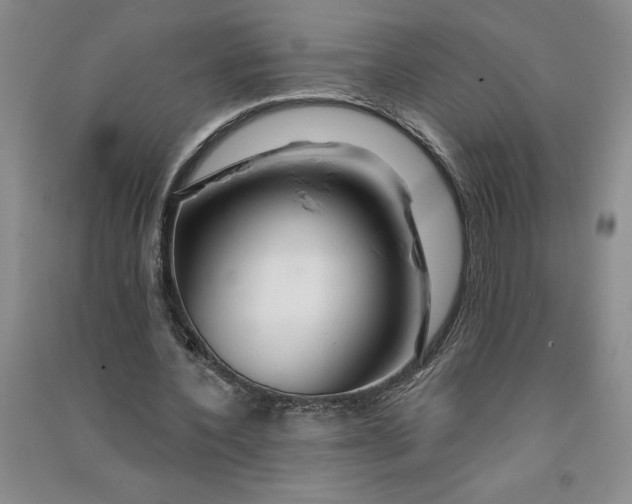 X0000090870532200708171627