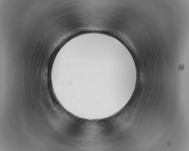 X0000090870534200708171627