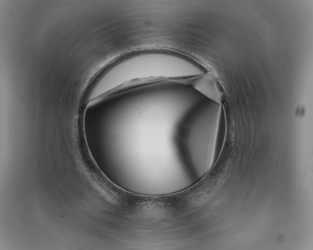 X0000090870535200708171627