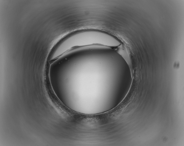 X0000090870536200708171627