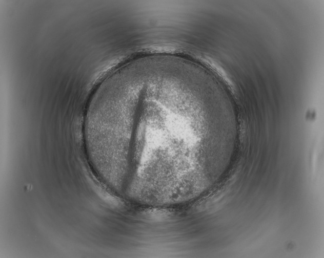 X0000090870537200708171627