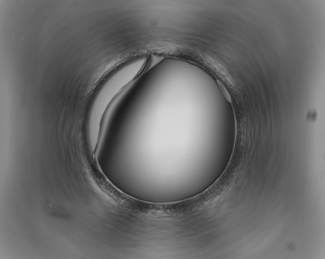 X0000090870538200708171627