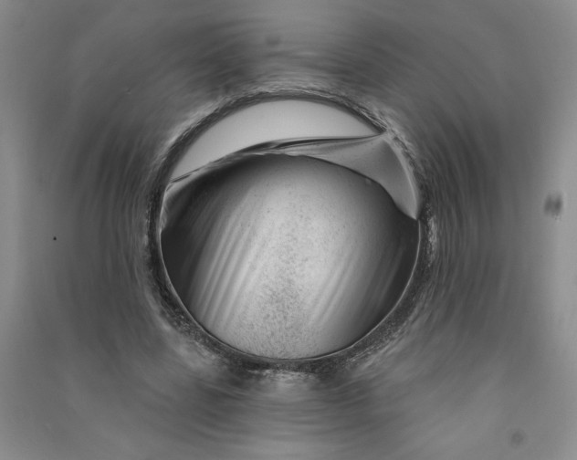 X0000090870539200708171627