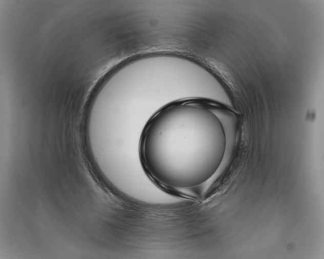 X0000090870540200708171627