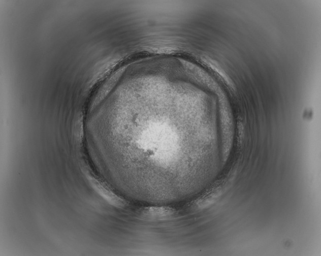 X0000090870541200708171627