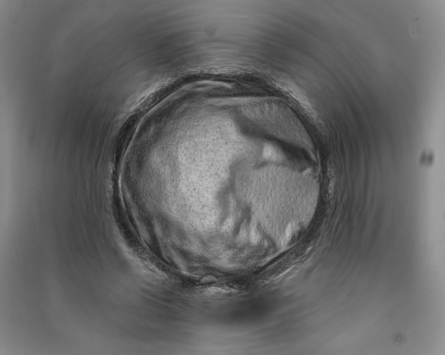 X0000090870542200708171627