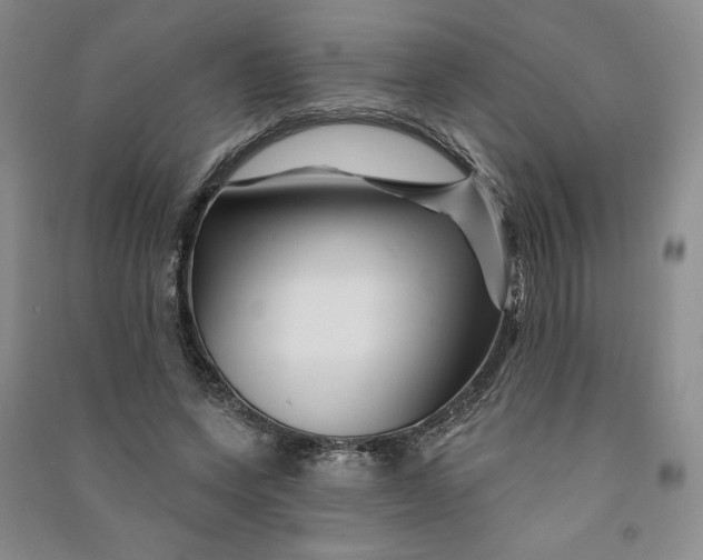 X0000090870543200708171627