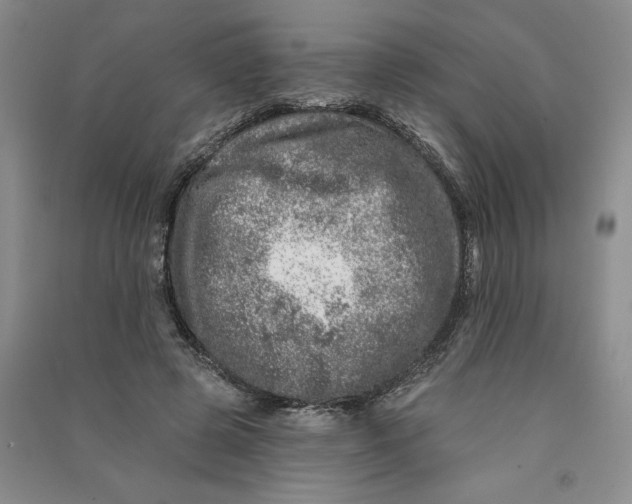 X0000090870545200708171627