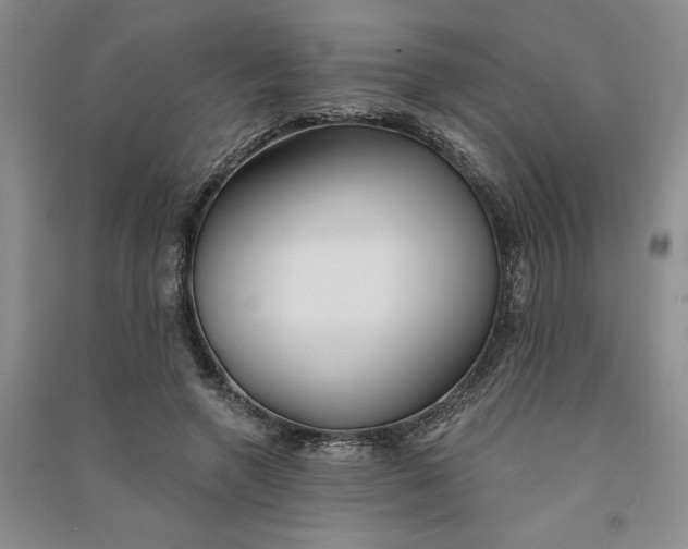 X0000090870546200708171627